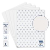 Бумага для акварели, 5л., 560*760мм, Гамма "Студия", 600г/м2, среднее зерно, 100% хлопок