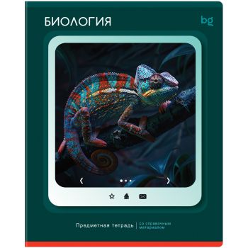 Тетрадь предметная 48л. BG 
