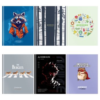 Дневник 1-11 кл. 48л. (твердый) BG 