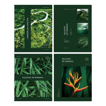 Тетрадь 48л., А5, клетка BG 