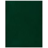 Тетрадь 48л., А5 клетка BG, бумвинил, зеленый, суперэконом