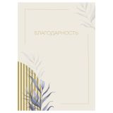 Благодарность А4, BG, мелованный картон