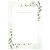 Благодарность А4, BG, мелованный картон