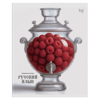 Тетрадь предметная 48л. BG 