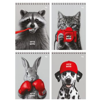 Блокнот А5 60л. на гребне BG 