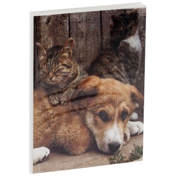 Фотоальбом 36 фото 10*15см, ArtSpace 