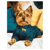 Картина по номерам на картоне ТРИ СОВЫ "Модный йорк", 30*40, с акриловыми красками и кистями