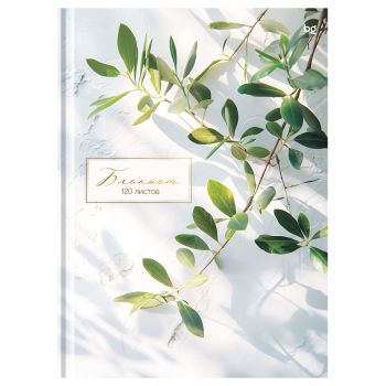 Бизнес-блокнот А4, 120л., BG 