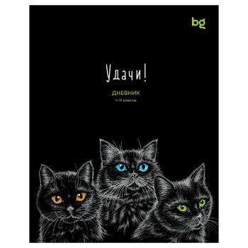 Дневник 1-11 кл. 40л. на скобе BG 