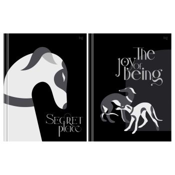 Бизнес-блокнот А5, 80л., BG 