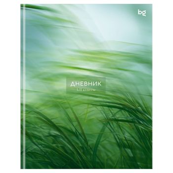 Дневник 1-11 кл. 48л. (ЛАЙТ) BG 