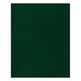 Тетрадь 96л., А5 клетка BG, бумвинил, зеленый