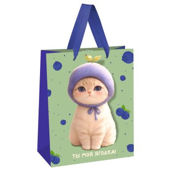 Пакет подарочный 18*23*10см MESHU 