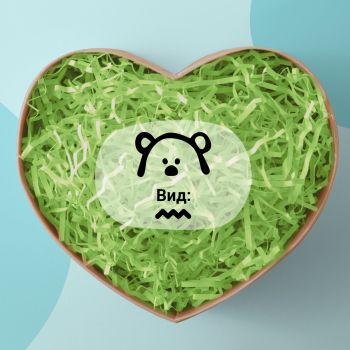 Бумажный наполнитель 3мм, MESHU, 100г, зеленый