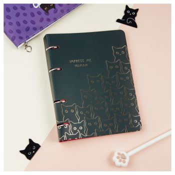 Тетрадь на кольцах А5, 100л., MESHU 